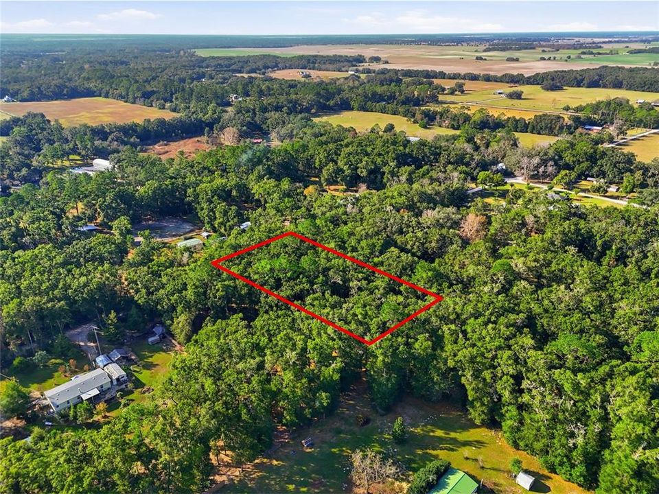 For Sale: $35,000 (1.25 acres)