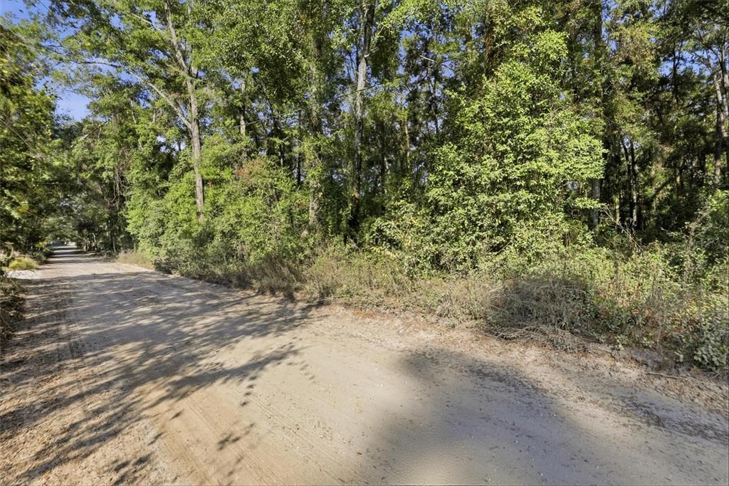 For Sale: $35,000 (1.25 acres)