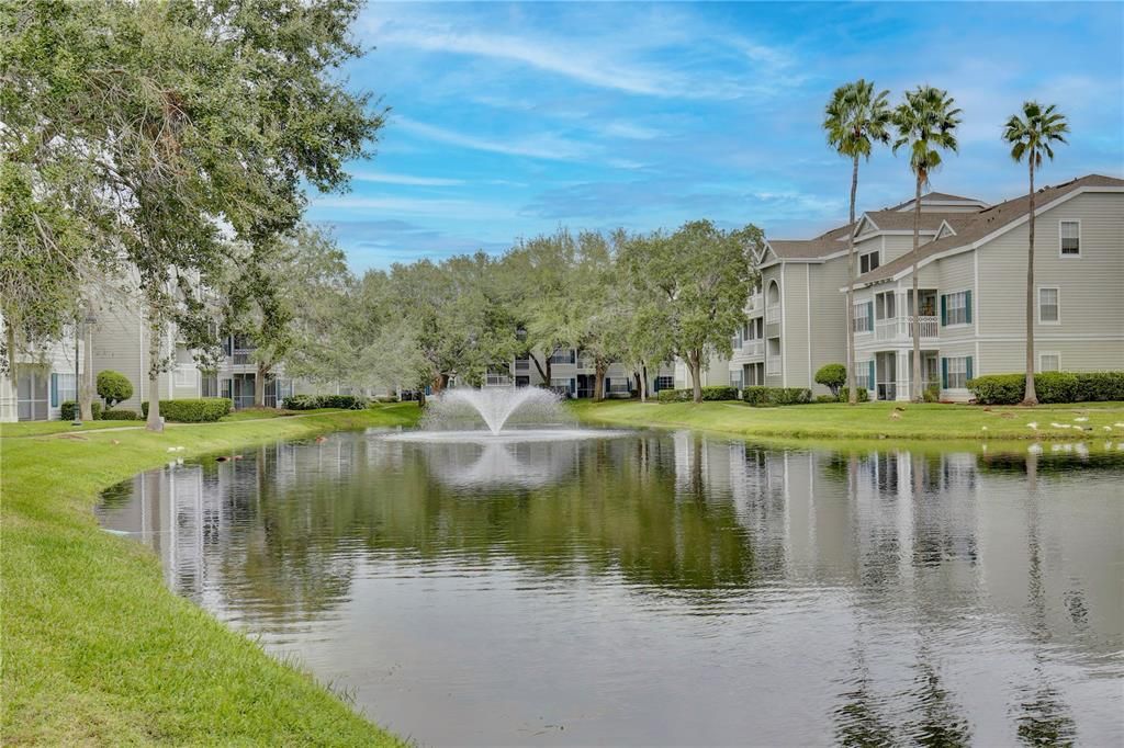 出租: $1,225 (1 贝兹, 1 浴室, 650 平方英尺)