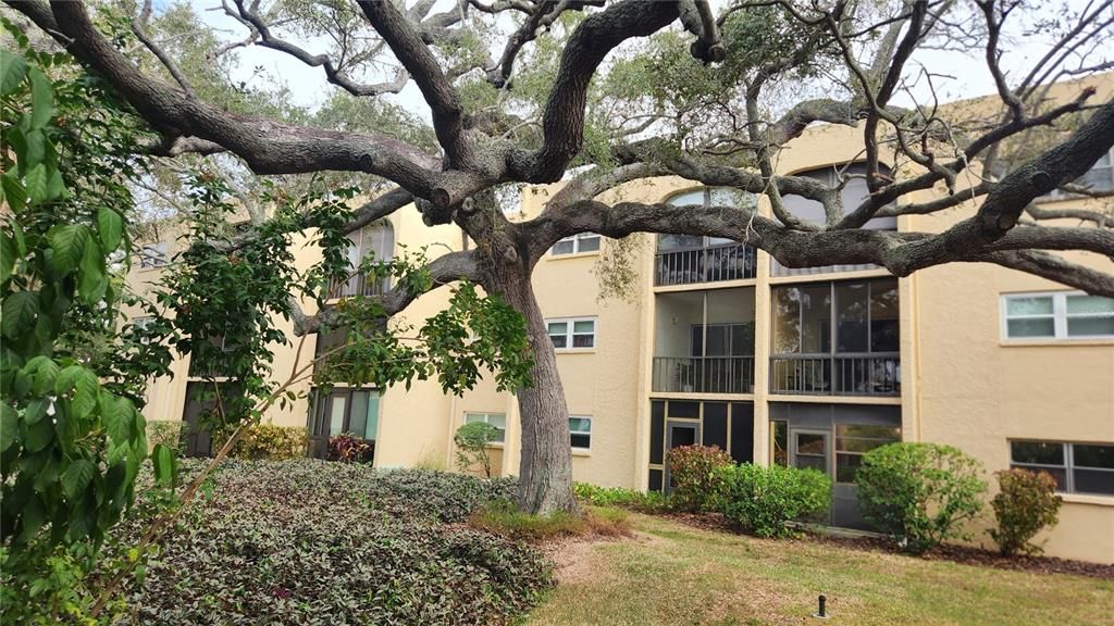 For Rent: $1,190 (1 beds, 1 baths, 630 Square Feet)