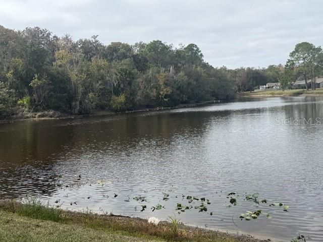 En Venta: $565,000 (3 camas, 2 baños, 1554 Pies cuadrados)