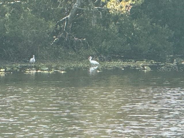 En Venta: $565,000 (3 camas, 2 baños, 1554 Pies cuadrados)