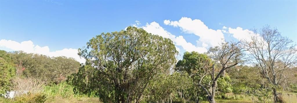 For Sale: $160,000 (0.54 acres)