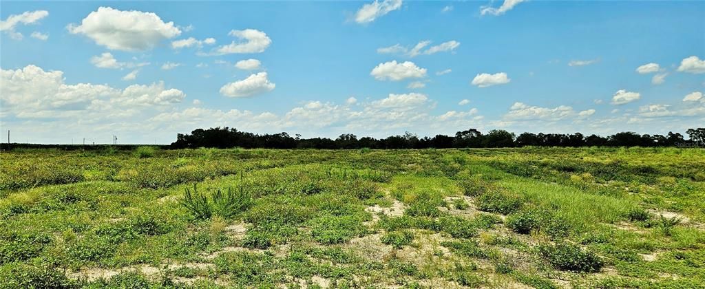 For Sale: $195,000 (5.73 acres)