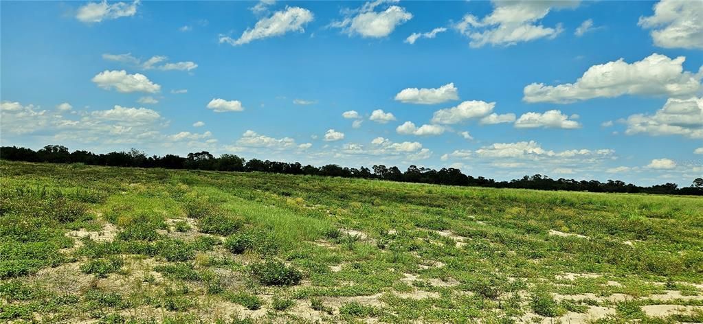 For Sale: $195,000 (5.73 acres)