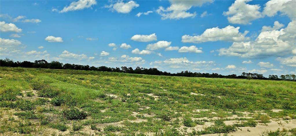 For Sale: $195,000 (5.73 acres)