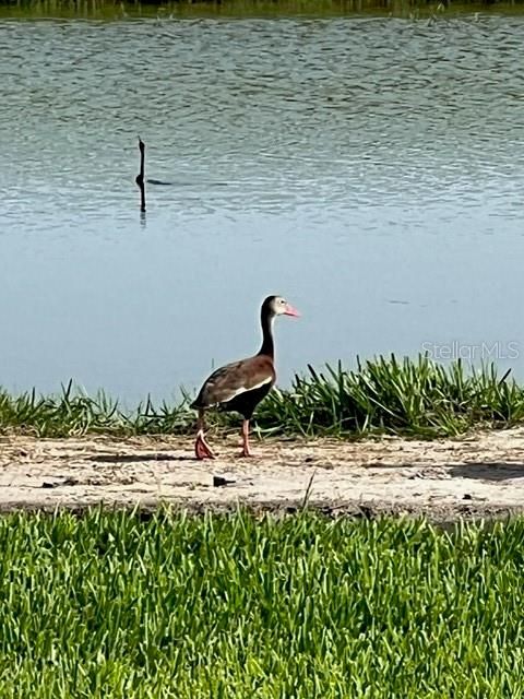 En Venta: $399,000 (3 camas, 2 baños, 1565 Pies cuadrados)