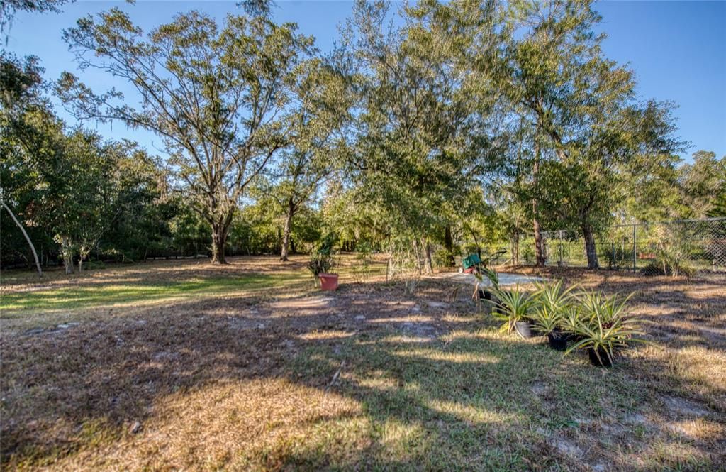 For Sale: $445,000 (5 beds, 2 baths, 1685 Square Feet)