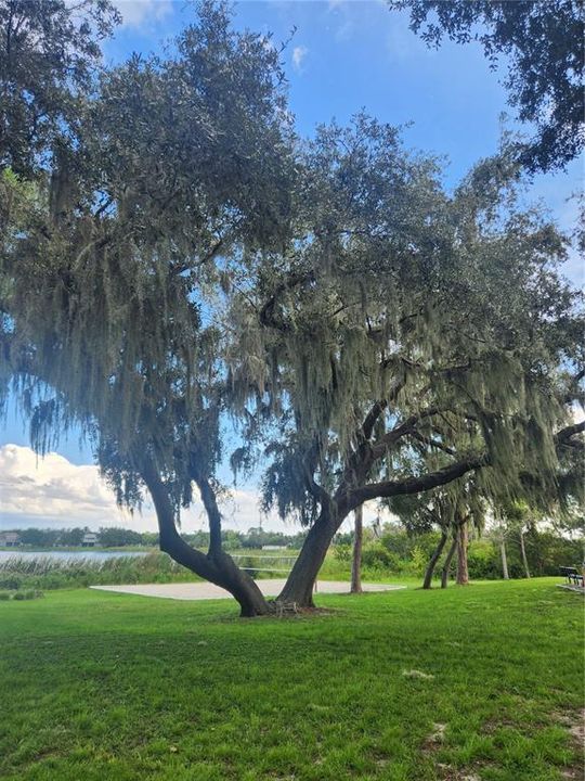 For Sale: $414,999 (3 beds, 2 baths, 1461 Square Feet)