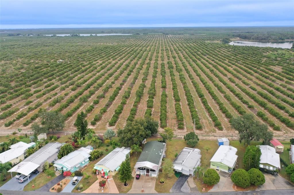 For Sale: $195,000 (3 beds, 2 baths, 1152 Square Feet)