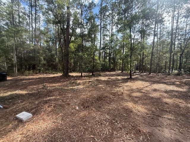 待售: $30,000 (1.14 acres)