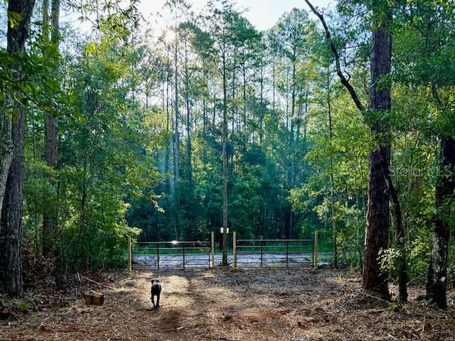 待售: $30,000 (1.14 acres)