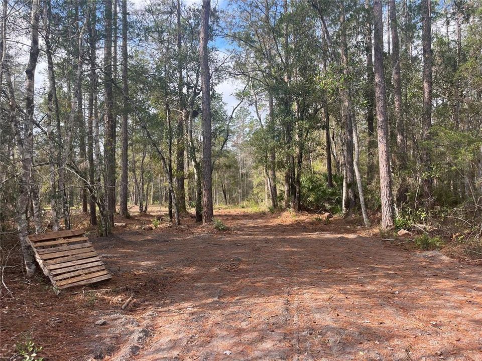 待售: $30,000 (1.14 acres)