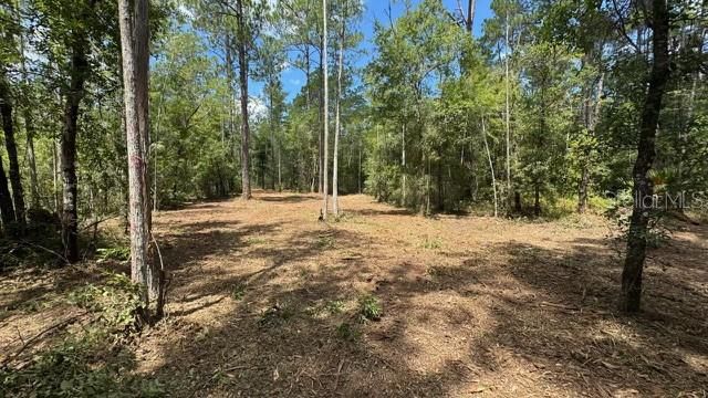 待售: $30,000 (1.14 acres)