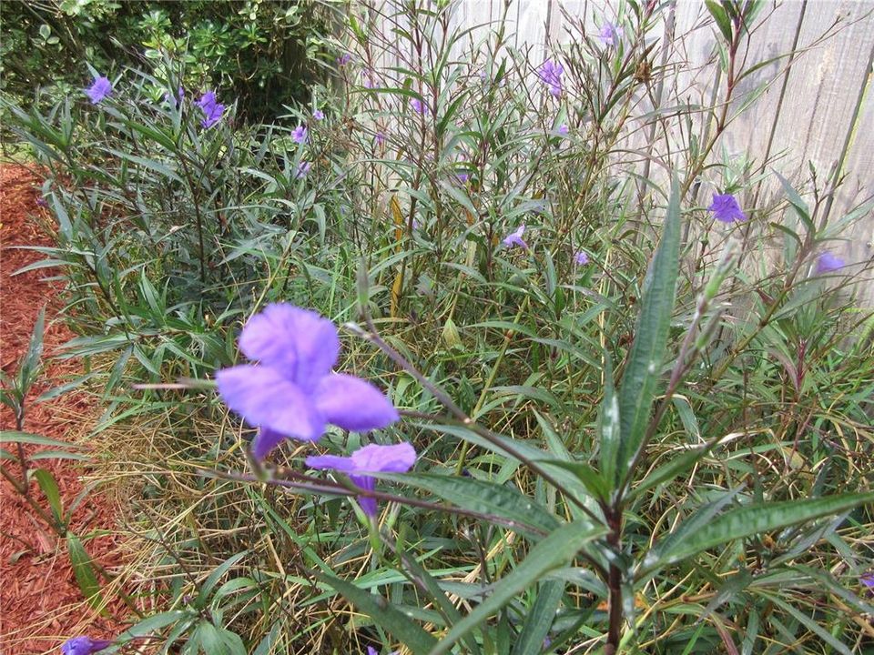 En Venta: $166,700 (3 camas, 1 baños, 1068 Pies cuadrados)