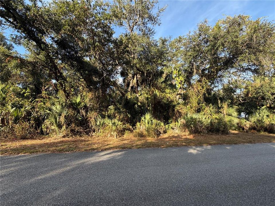 На продажу: $25,000 (0.23 acres)