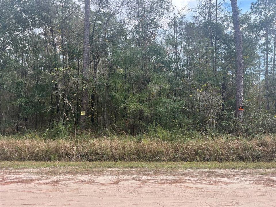 待售: $25,000 (1.14 acres)