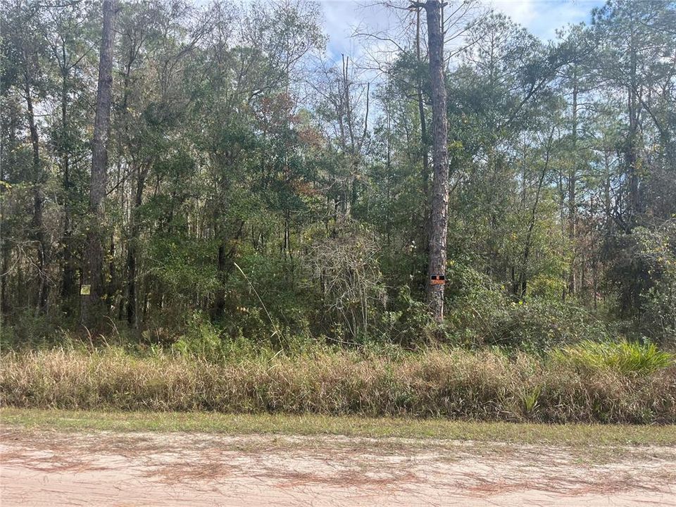 待售: $25,000 (1.14 acres)