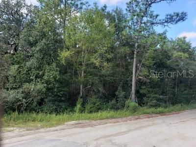 For Sale: $100,000 (0.69 acres)