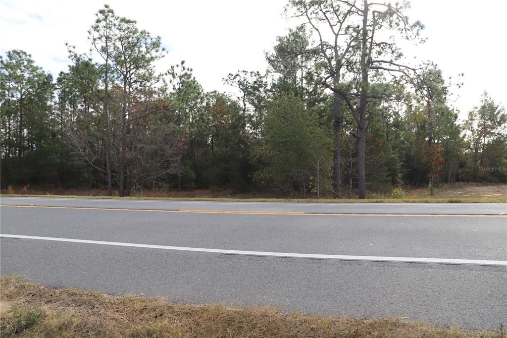 For Sale: $325,000 (2.93 acres)