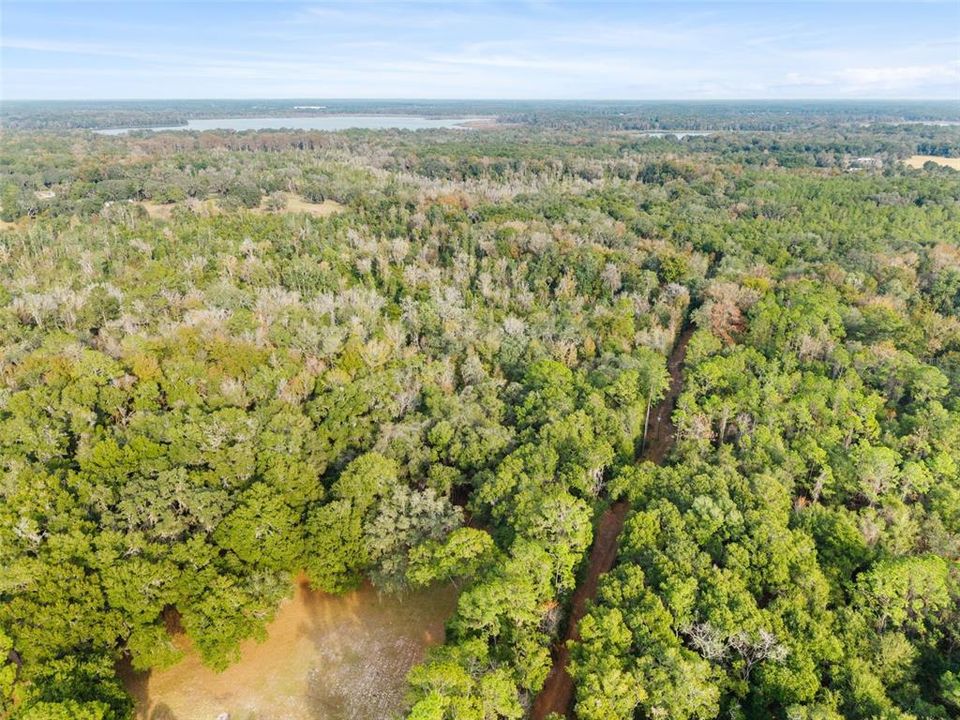 На продажу: $375,000 (46.89 acres)