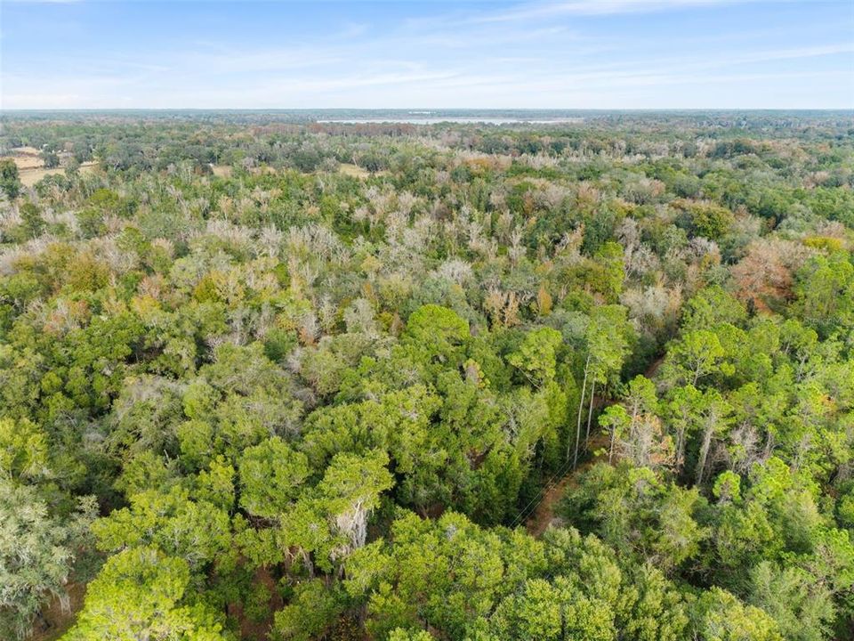 На продажу: $375,000 (46.89 acres)