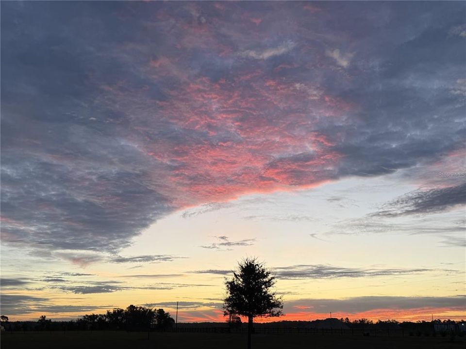 For Sale: $1,799,000 (5 beds, 4 baths, 3382 Square Feet)