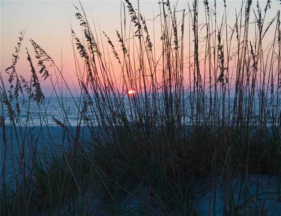 For Sale: $270,000 (2 beds, 2 baths, 1440 Square Feet)