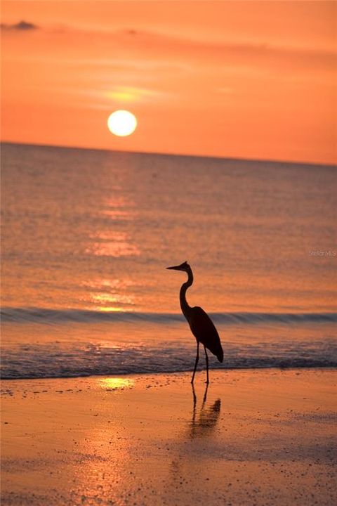 For Sale: $270,000 (2 beds, 2 baths, 1440 Square Feet)