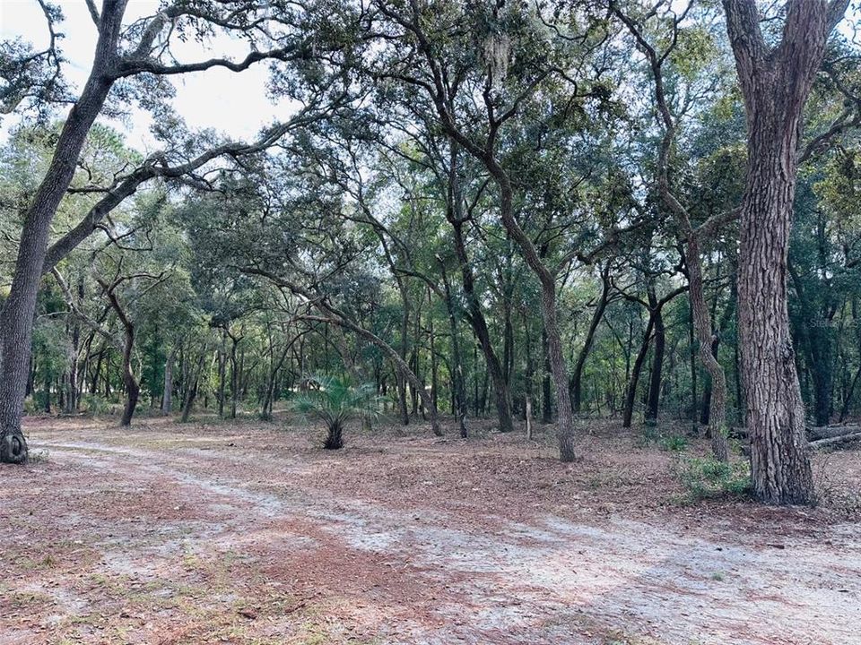 For Sale: $189,900 (1 beds, 1 baths, 1236 Square Feet)