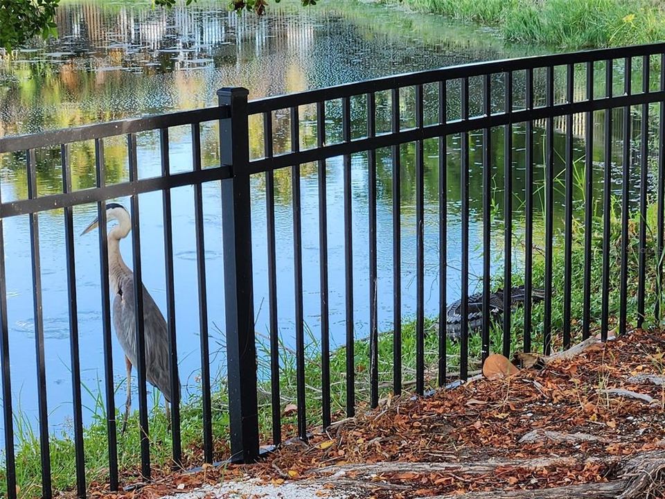 For Sale: $750,000 (4 beds, 4 baths, 3080 Square Feet)