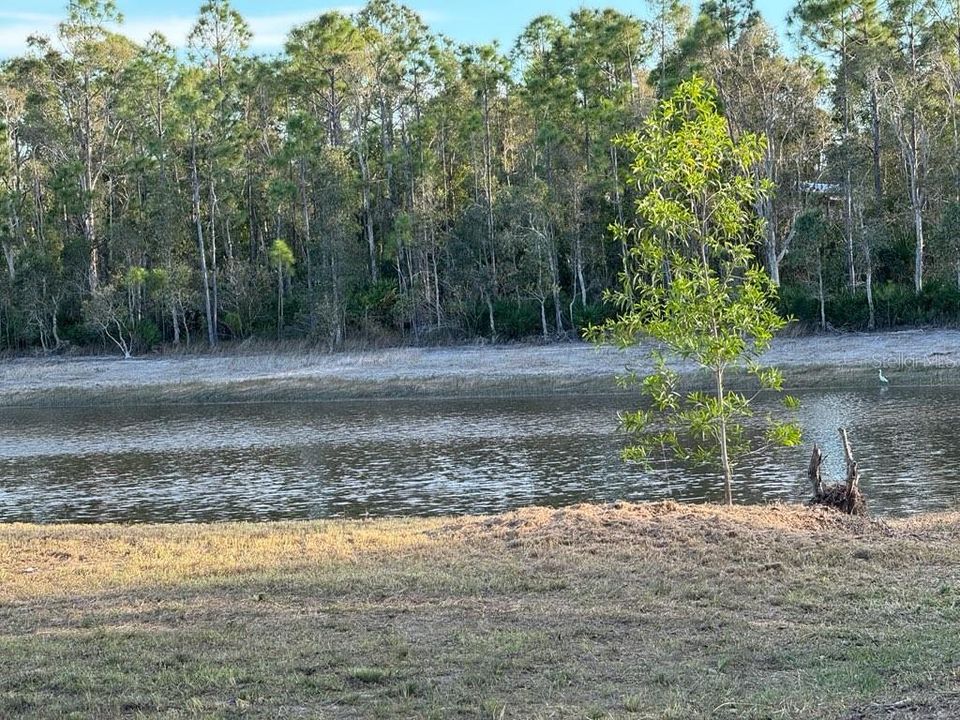 На продажу: $239,000 (2 спален, 2 ванн, 1042 Квадратных фут)