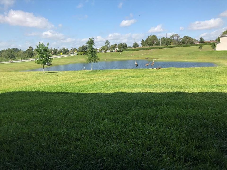 For Rent: $3,700 (7 beds, 4 baths, 4081 Square Feet)