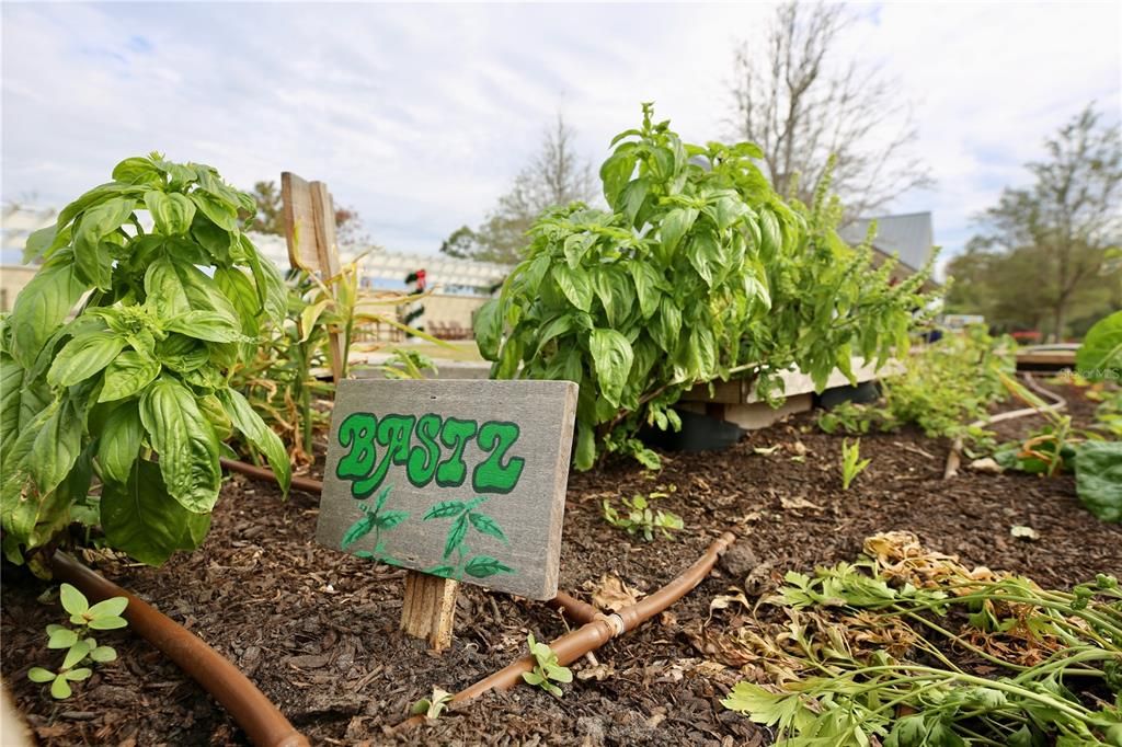 For Sale: $313,000 (3 beds, 2 baths, 1634 Square Feet)