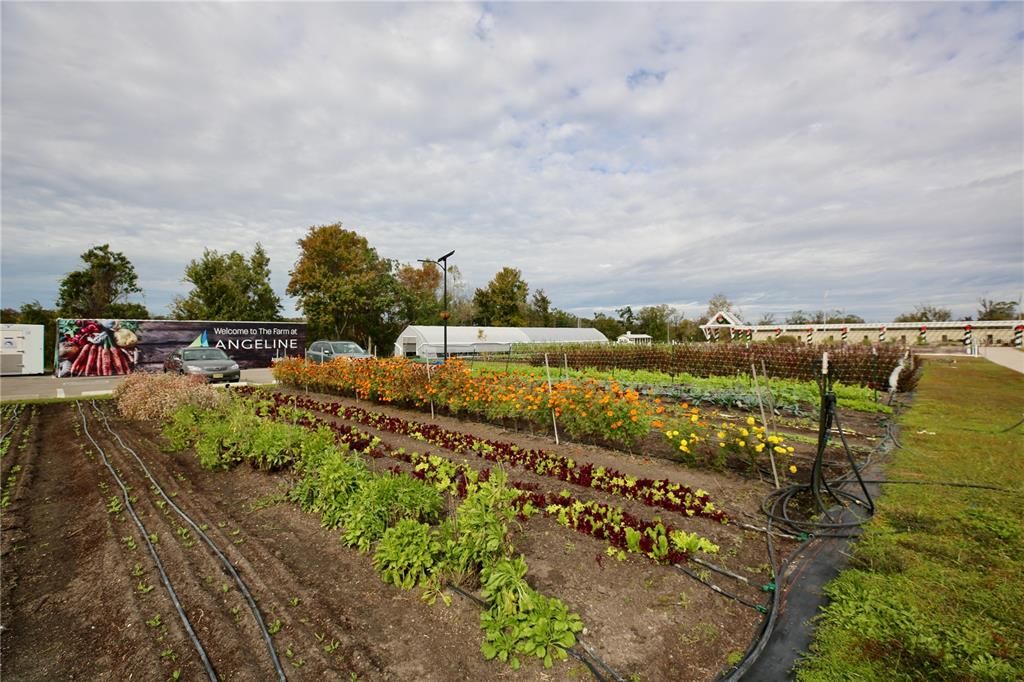 For Sale: $313,000 (3 beds, 2 baths, 1634 Square Feet)