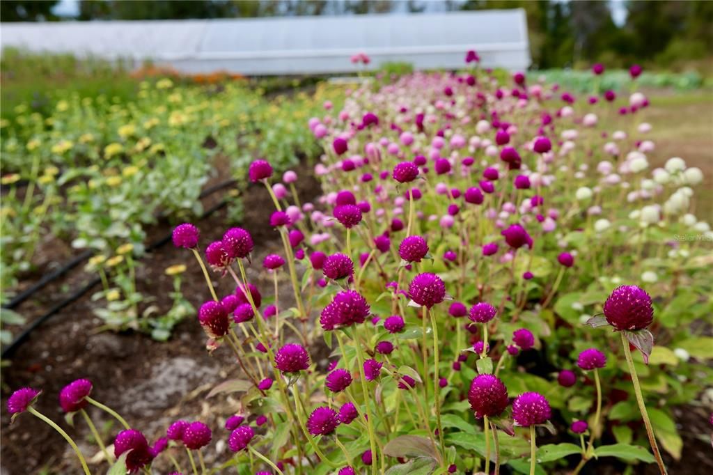 For Sale: $313,000 (3 beds, 2 baths, 1634 Square Feet)