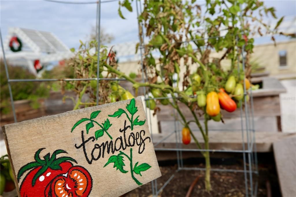 For Sale: $313,000 (3 beds, 2 baths, 1634 Square Feet)