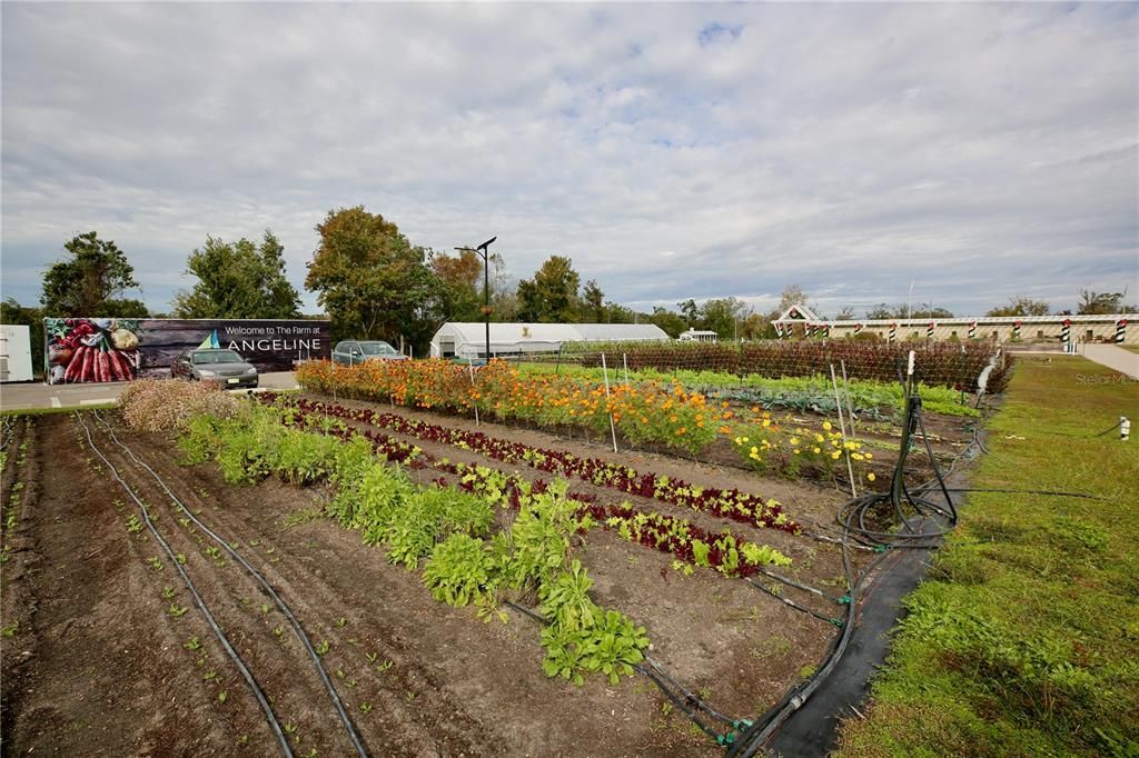 For Sale: $313,000 (3 beds, 2 baths, 1634 Square Feet)