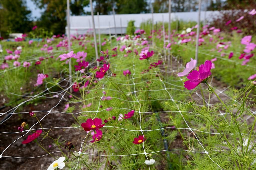 For Sale: $313,000 (3 beds, 2 baths, 1634 Square Feet)