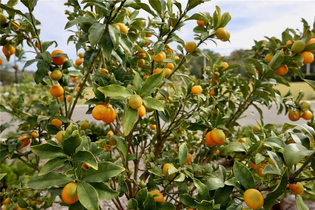 For Sale: $313,000 (3 beds, 2 baths, 1634 Square Feet)