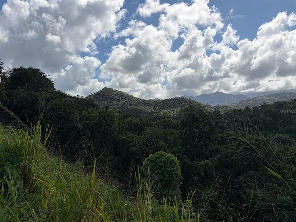 На продажу: $380,000 (0.50 acres)