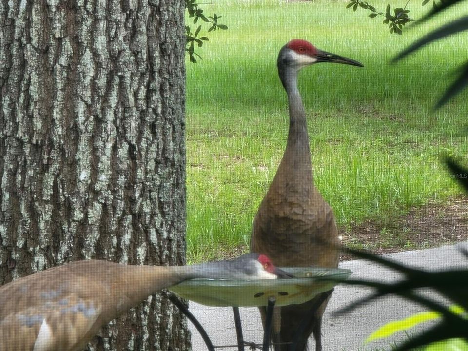 На продажу: $312,000 (2 спален, 2 ванн, 1888 Квадратных фут)