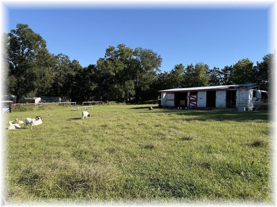 На продажу: $189,900 (3 спален, 2 ванн, 1568 Квадратных фут)