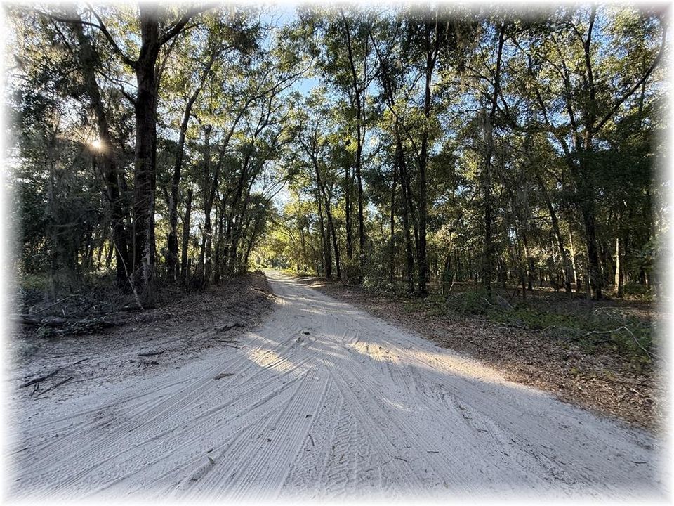 На продажу: $189,900 (3 спален, 2 ванн, 1568 Квадратных фут)