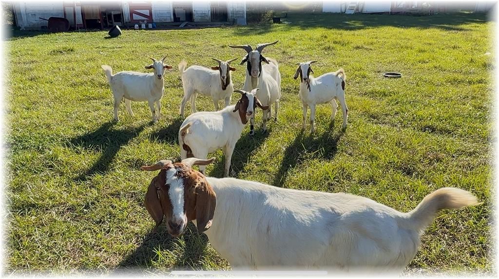 На продажу: $189,900 (3 спален, 2 ванн, 1568 Квадратных фут)