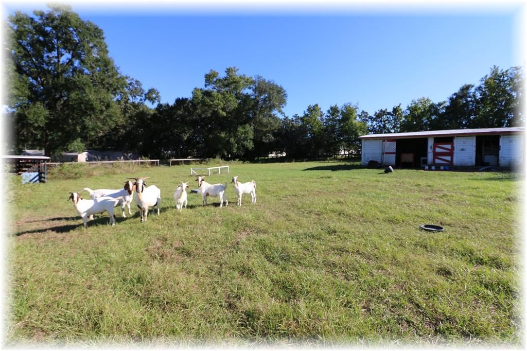 На продажу: $189,900 (3 спален, 2 ванн, 1568 Квадратных фут)