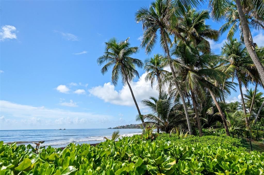 For Sale: $449,000 (1 beds, 1 baths, 1200 Square Feet)