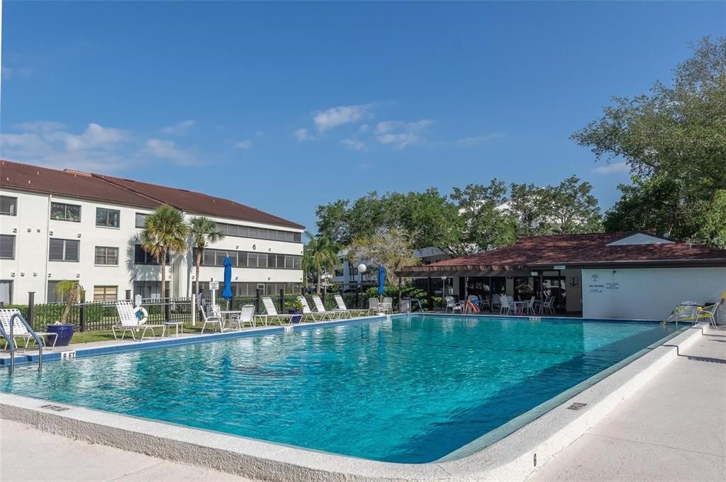 出租: $1,300 (1 贝兹, 1 浴室, 555 平方英尺)