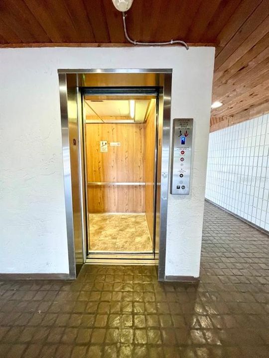 出租: $1,300 (1 贝兹, 1 浴室, 555 平方英尺)