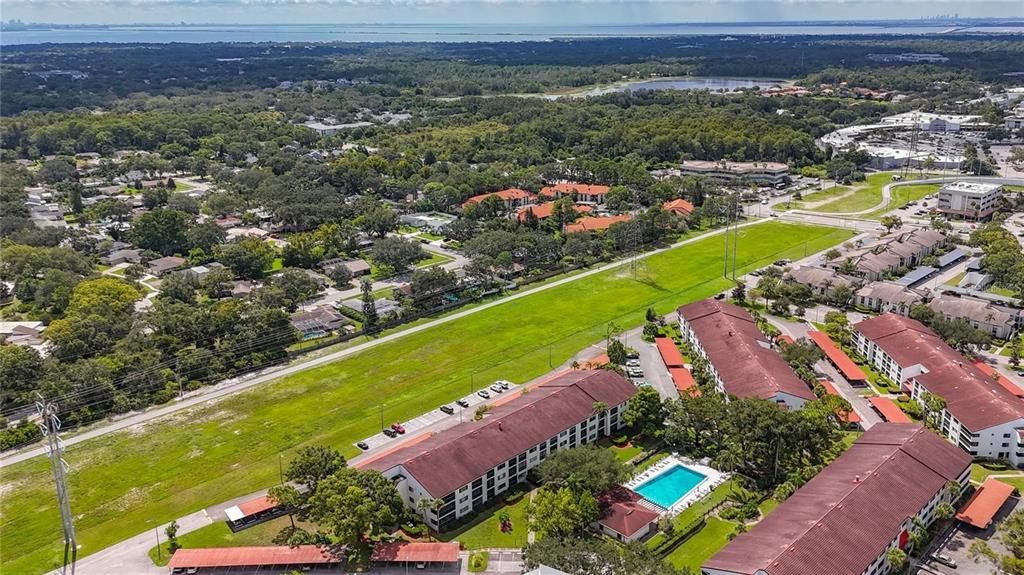 出租: $1,300 (1 贝兹, 1 浴室, 555 平方英尺)